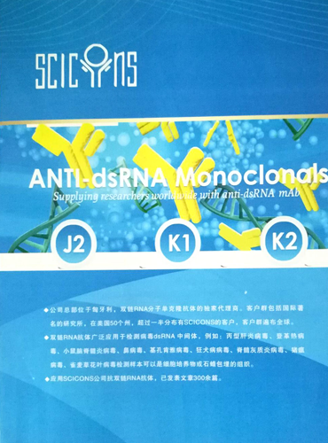 雙鏈RNA檢測的金標準