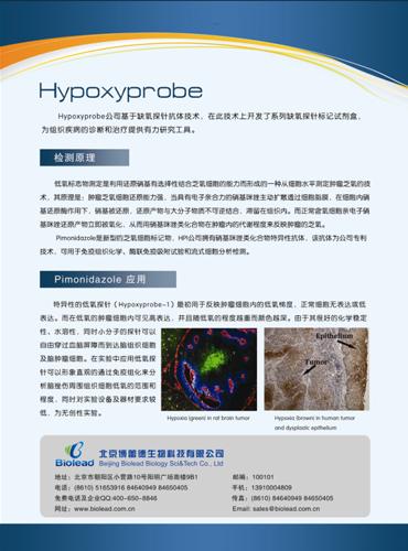 低氧探針檢測試劑盒