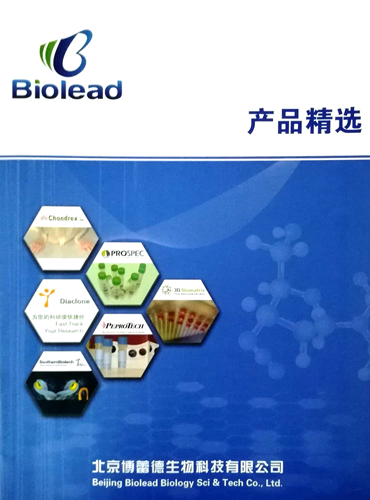 代理品牌熱銷產(chǎn)品宣傳冊