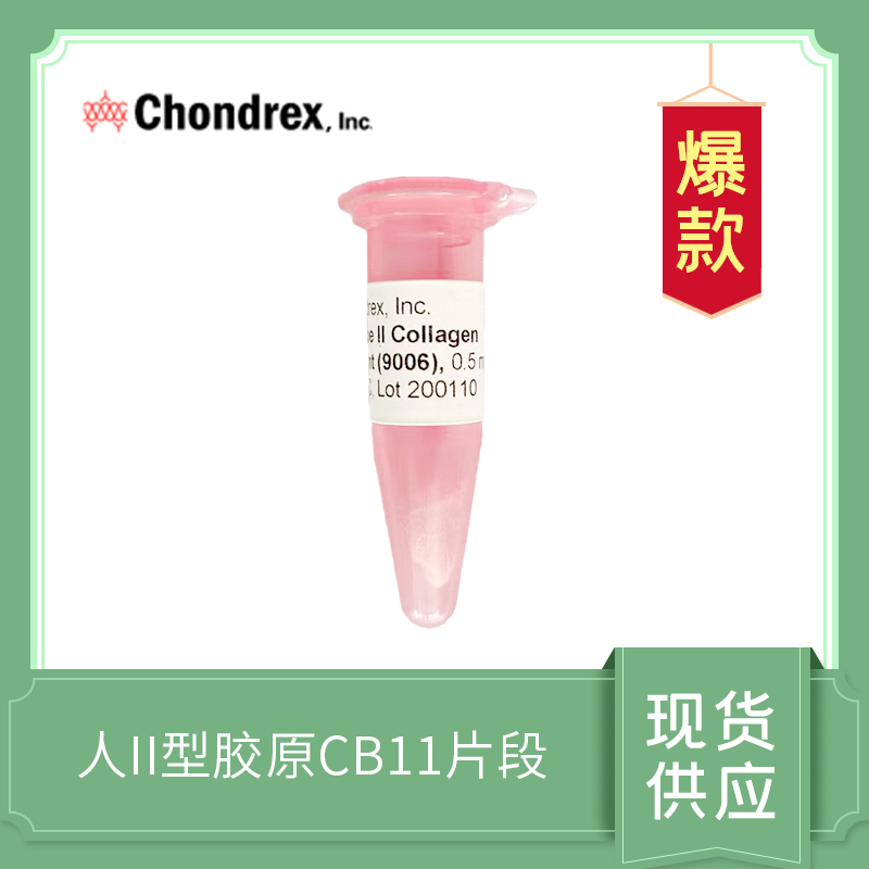 Human CB11 Peptide of Type II Collagen, 0.5 mg, lyophilized