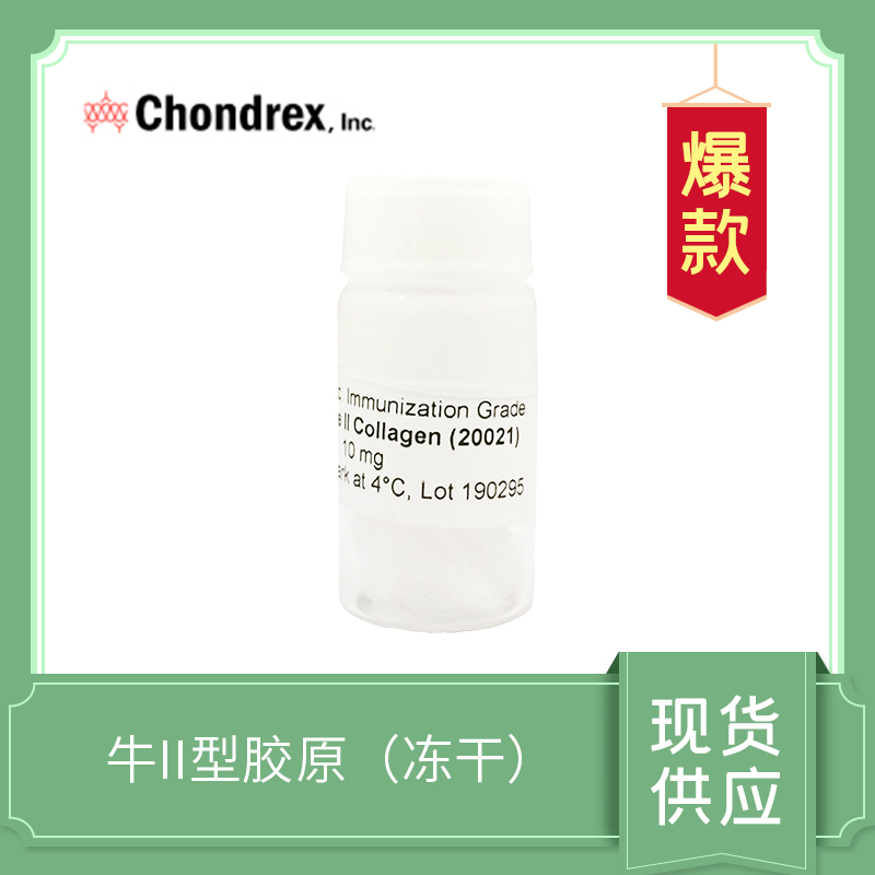  Bovine Type II Collagen 牛II型膠原