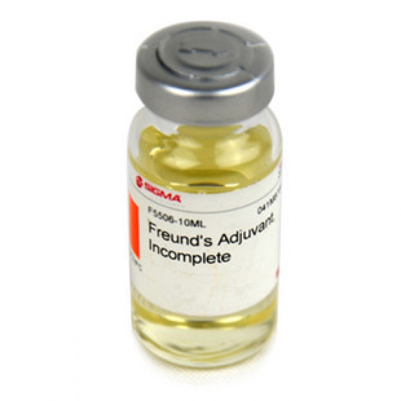 Freund’s Adjuvant, Incomplete ，IFA 弗氏不完全佐劑