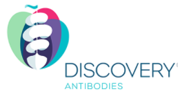 Discovery? Antibodies（CRB）中國(guó)代理博蕾德生物-藥物研究抗體領(lǐng)導(dǎo)者