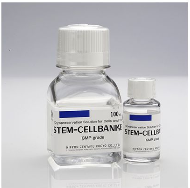 GMP級干細胞凍存液 1894 11897 現(xiàn)貨 stem cellbanker