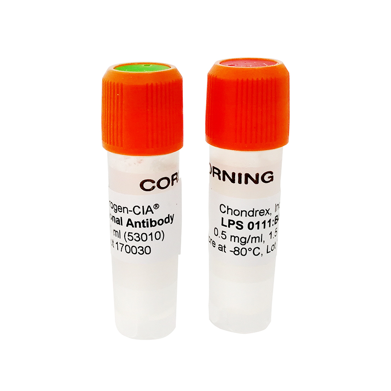 Arthrogen-CIA 5-Clone Cocktail Kit - 10mg  五克隆合劑  CAIA 模型誘導(dǎo)