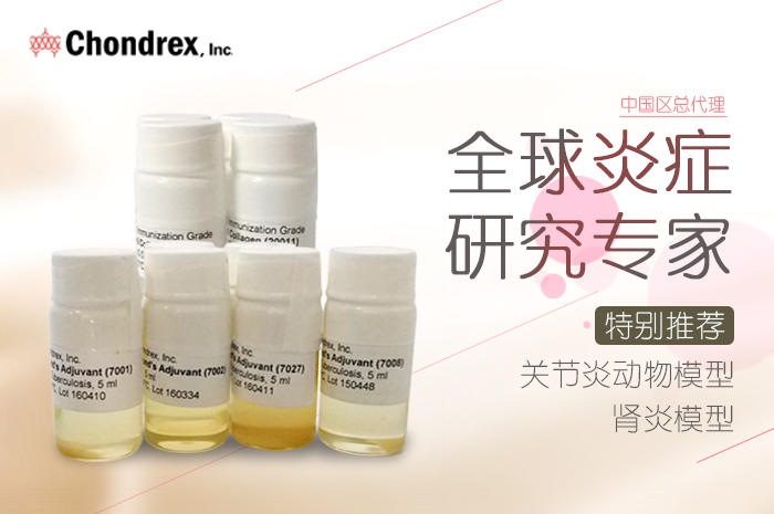 關(guān)節(jié)炎動(dòng)物模型(CIA, AIA, CAIA )制備系列產(chǎn)品