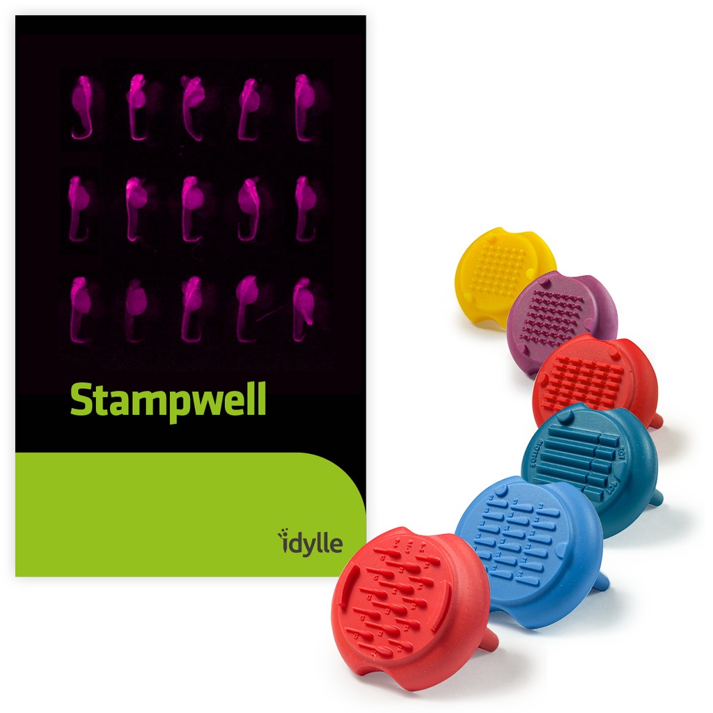 Stampwell-larvae 1 凝膠孔制備（3D細胞成像）