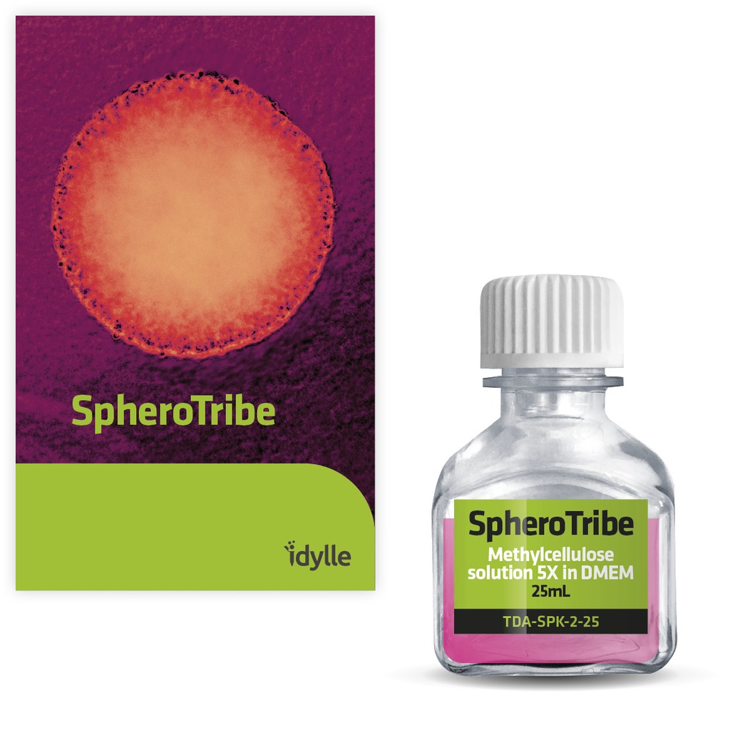 Applications of SpheroTribe:   So far, SpheroTribe has been successfully used for spheroid/organoid formation with the following cell types:  Patient-derived stem-like glioblastoma cells (GB P3, BL13), human glioblastoma cell lines (U87 & T98G), HeLa, hum