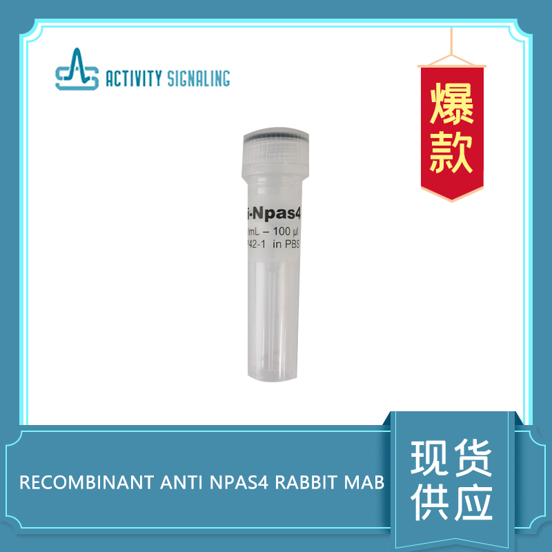 Recombinant anti Npas4 Rabbit Mab