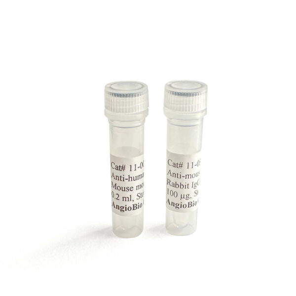 Anti-Mouse Podoplanin Monoclonal Antibody